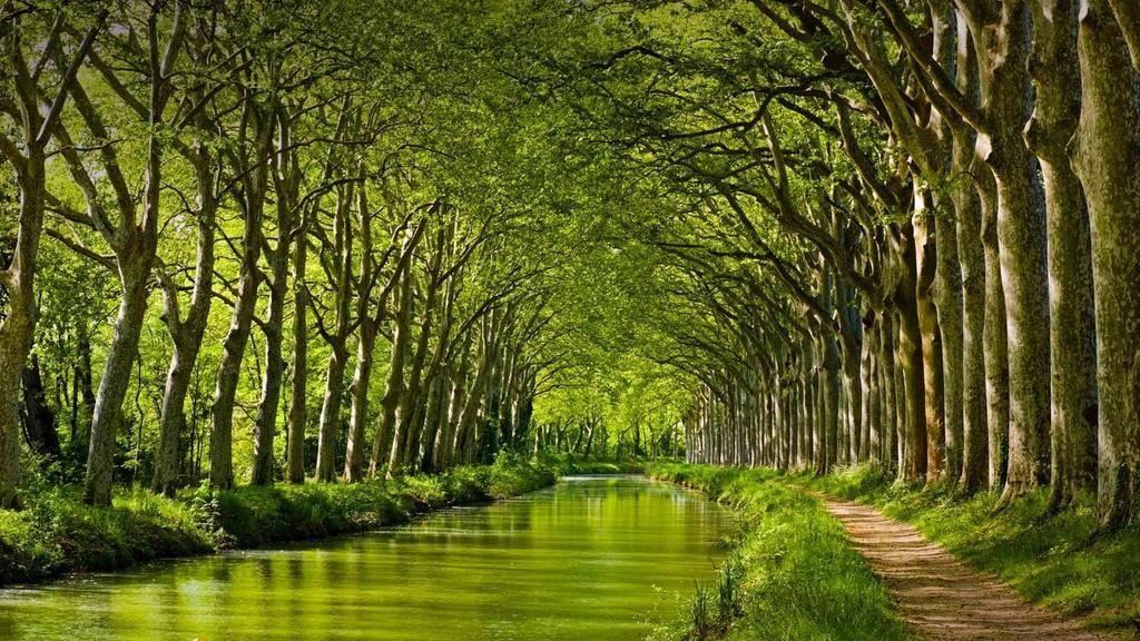 Gite La Chartreuse Du Canal Du Midi Τουλούζη Εξωτερικό φωτογραφία